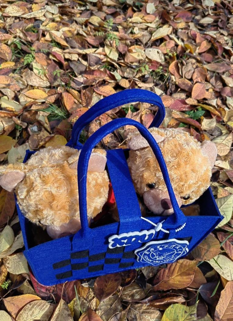 1733128985188319.png 1733128985188319.png