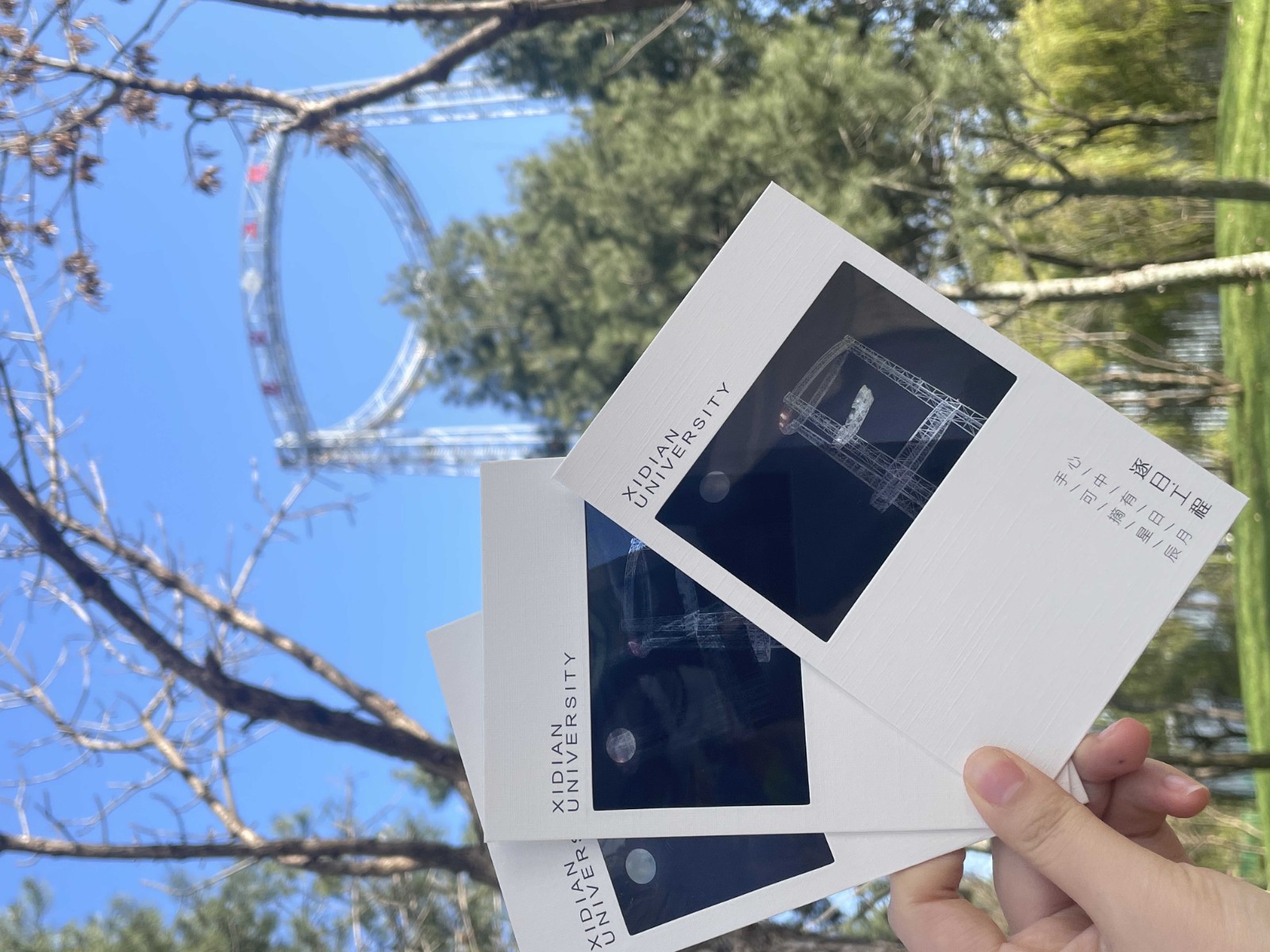 1743047740299589.jpg 1743047740299589.jpg