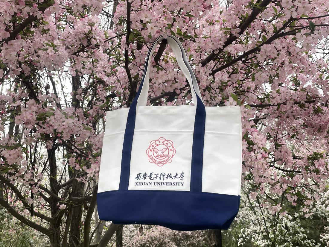 1745471741167150.png 1745471741167150.png