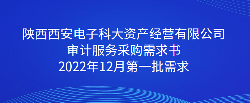 陜西西安電子科大資產經營有限公司 審計服務采購需求書 2022年12月第一批需求