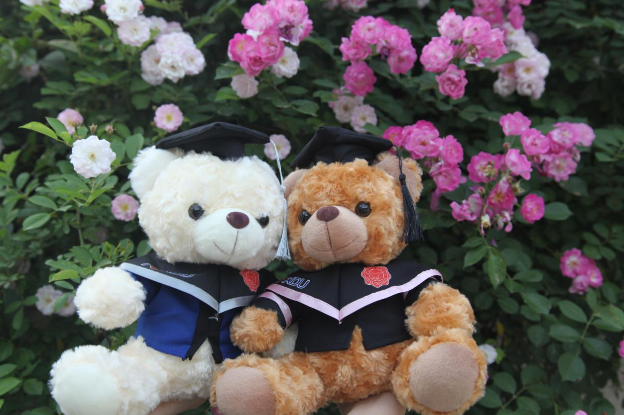 遙寄青云志，奔赴新征途|1931文創畢業季活動火熱開啟